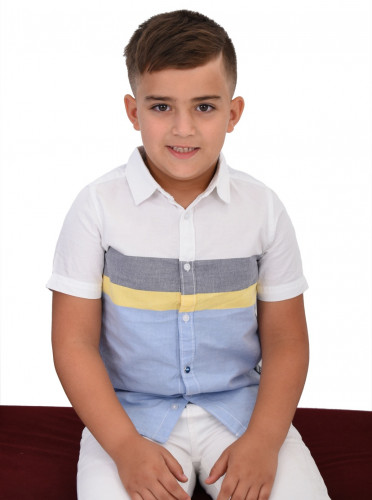 Hamdan prev btn