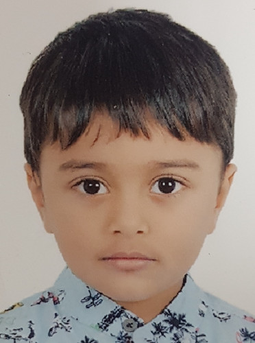 Viaan prev btn