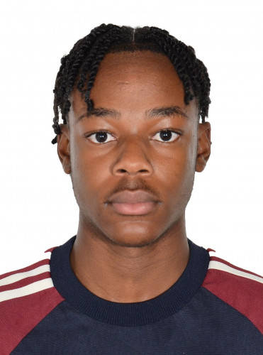 featured artist preview