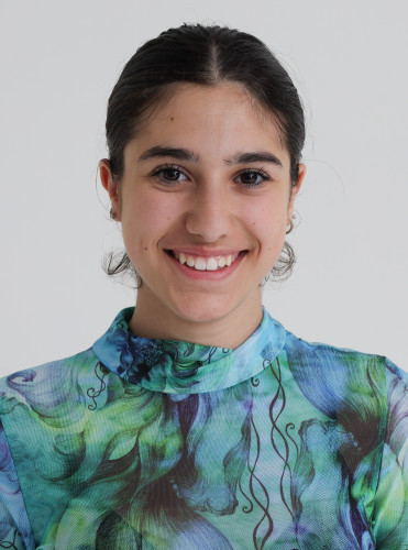 featured artist preview